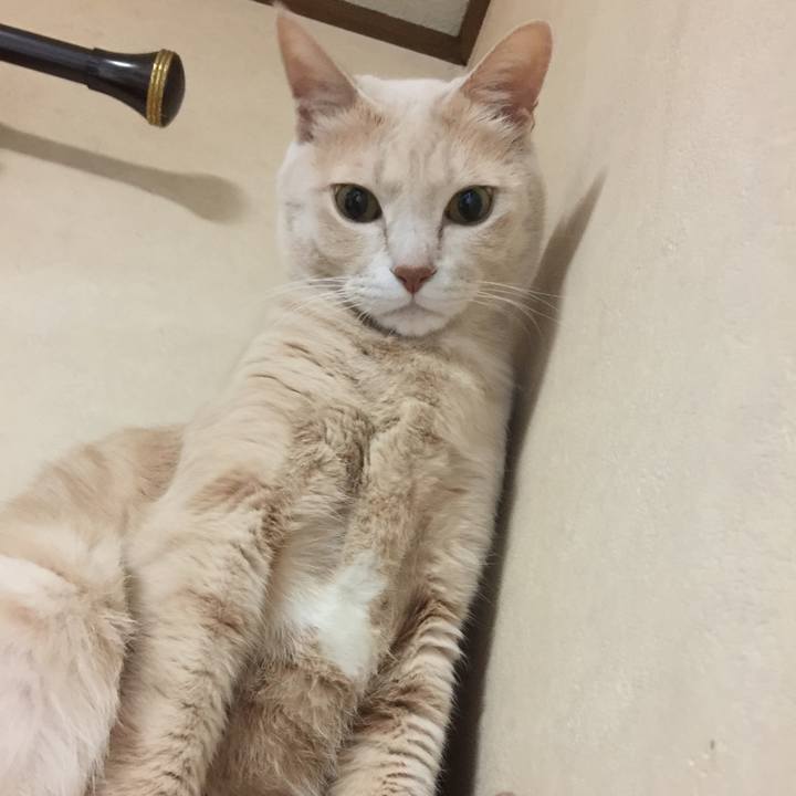 E8d8ca2a ea43 444e a187 153ff85e4eed 1512730043403