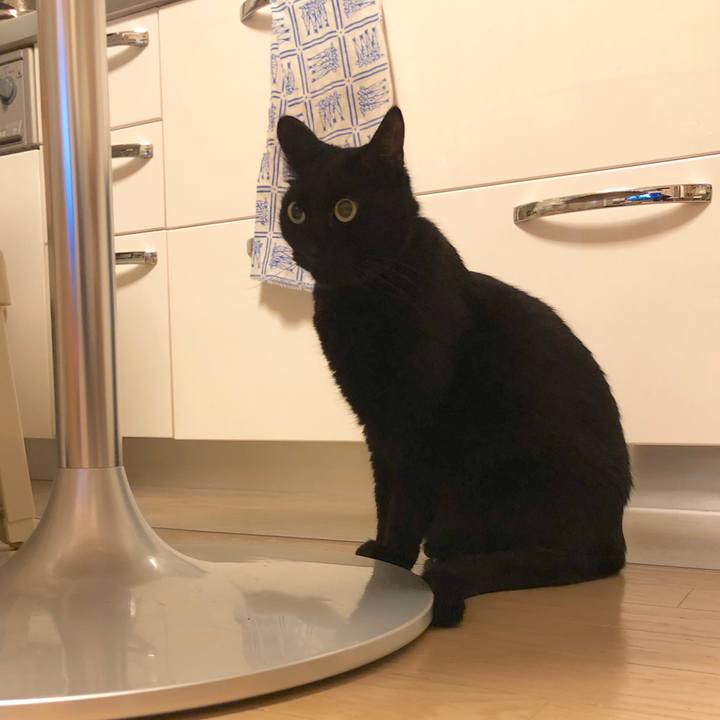 E8d8cab9 304a 4d8e b6dc aefac9ef022c 1582454784415