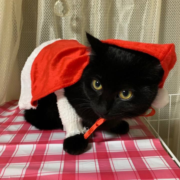 E8d8d1e3 8fb6 439a a13e b4156785d4ba 1577159757097