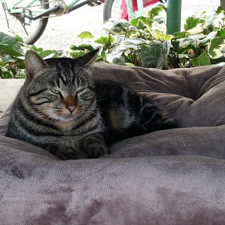 E8d8da77 7433 4271 9990 2a23b8d599c0 1510650207580