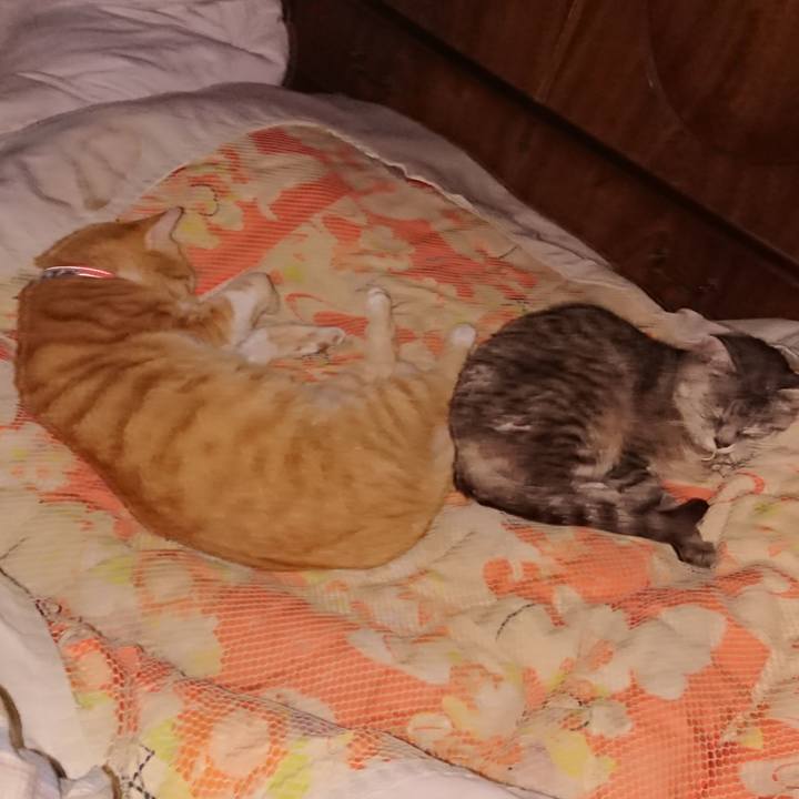 E8d8f05d 19b1 4d1c 9376 c489e269228f 1570027211583