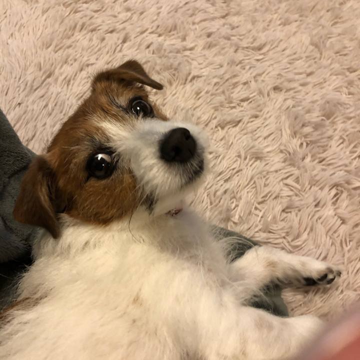 E8d905e5 07a2 48c0 befc b4230f4755e8 1616153421254