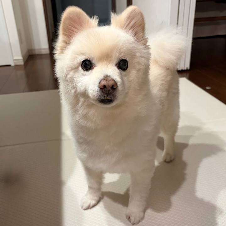 E8d91536 8a47 41db b5aa b718806daea0 1773575999046