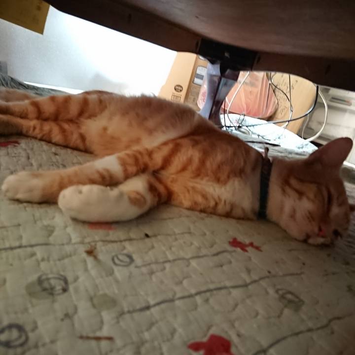 E8d94fb3 d9aa 42a7 bd6f b49707727579 1563684380273