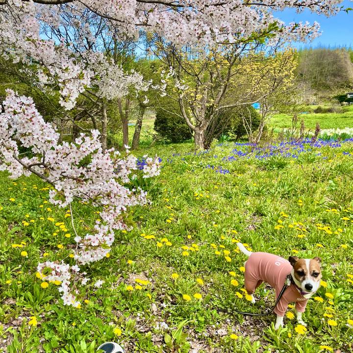 E8d95747 6586 4c4f 8a97 504d0cddbdc7 1745488036239