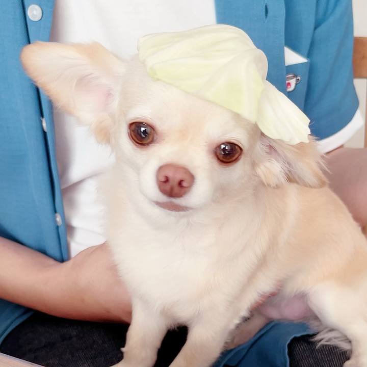 E8d9f50a faf3 497c be43 0519f7444e5f 1687080917176