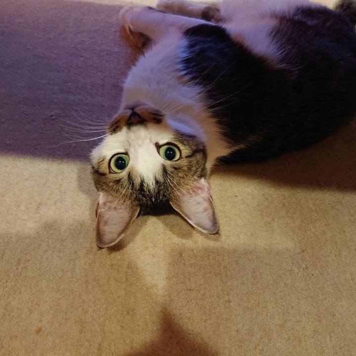 E8da0483 cf67 41bc 98b1 2d71c8f9a708 1638350380091