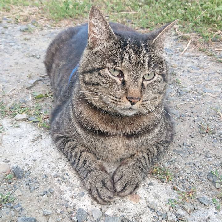 E8da0bd5 20f2 4993 a61f 5a98f63bf3ec 1657360196476