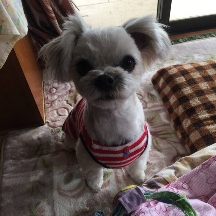 E8da0f94 b50a 4941 844b b351281bed66 1519523842156