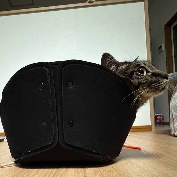 E8da134a 5d37 4b19 90f5 29a4ccba08d7 1751026808396