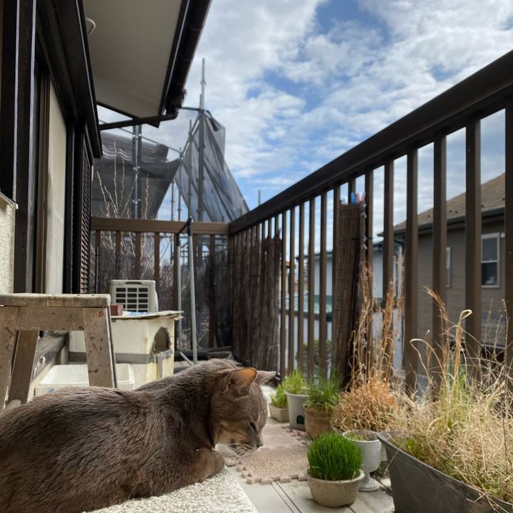 E8da36b8 9f77 4e74 8fa1 bd9f2278f805 1648362309552