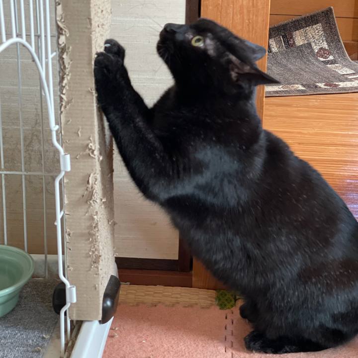 E8da4656 b951 4654 85b1 5b15a639abcd 1615254280332