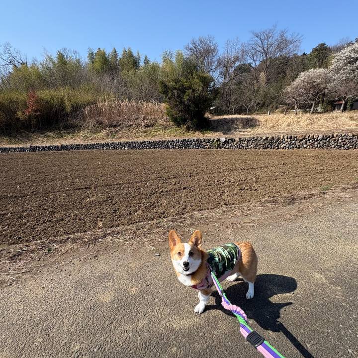 E8da7b7e 0f3b 470c b08c 1afc4fe5eea3 1771755190260