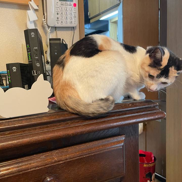 E8da87e3 704b 4f15 b750 16c29987d3b3 1682290384915