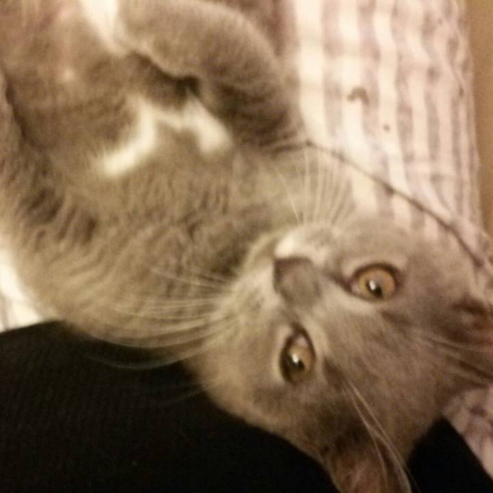 E8daa950 dfd9 44ab a48e c9145f0c9f4f 1532643798084