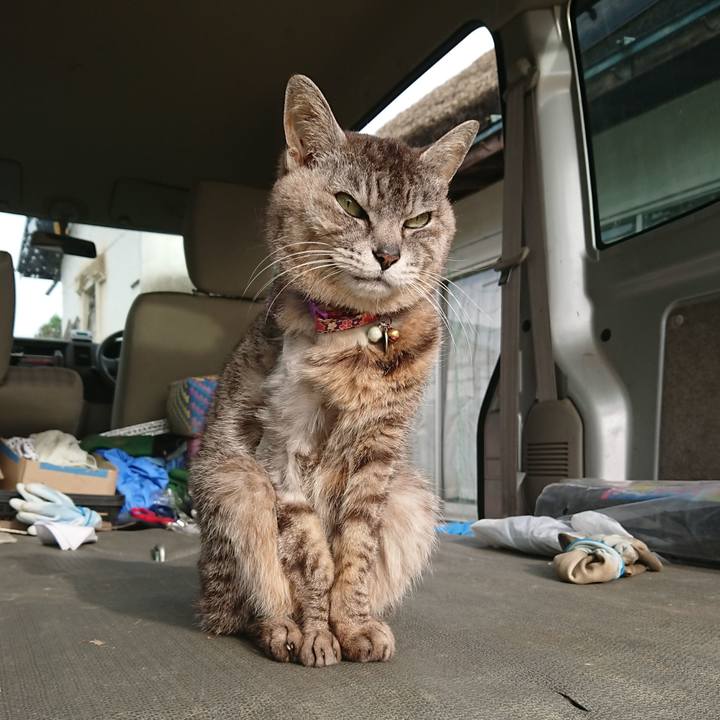 E8dab2e6 f0f3 4a26 839b 6b6e3f366c67 1592085846043