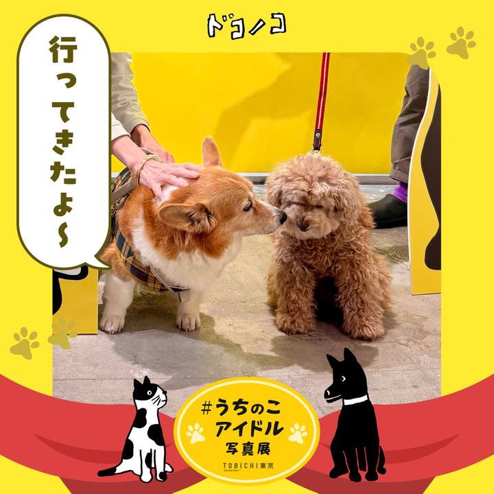 E8dac715 1a52 4266 8846 fbee183648d0 1762204647601