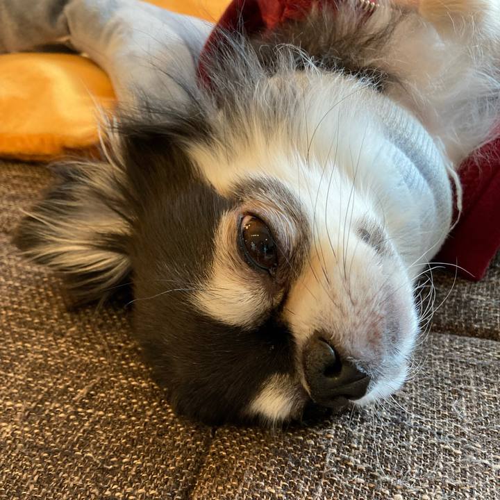 E8dac751 334e 4cea aa04 23a4be40330d 1711277652482