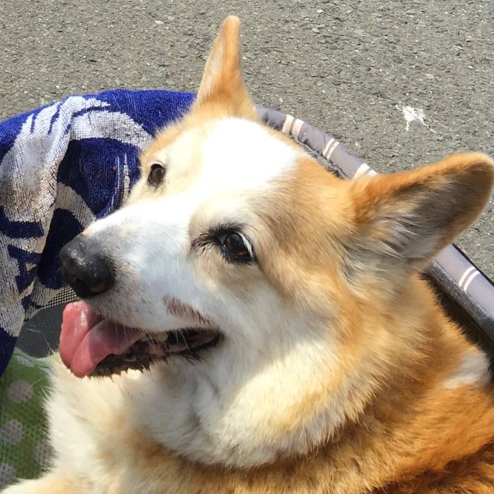 E8dad04f ac7d 4da0 a198 31e384dfee91 1587510118061