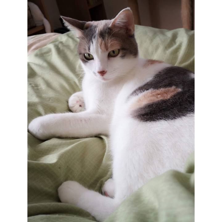 E8dad4a3 cc86 4b35 aea0 d064c03bf7f3 1606033798006