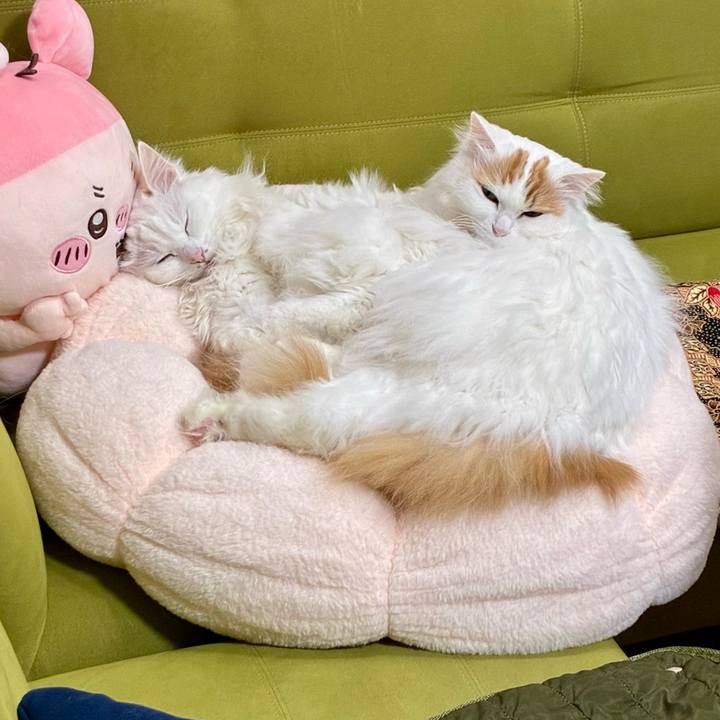 E8db0349 c69a 444f b4ca c09b6c7b636f 1772508784039