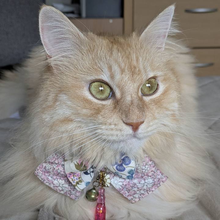 E8db215f 1bff 4a52 b108 a0e008591777 1754534578145