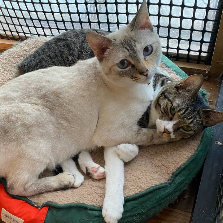 E8db2efc 7567 4635 9f5e ff5d53cba598 1687778970544