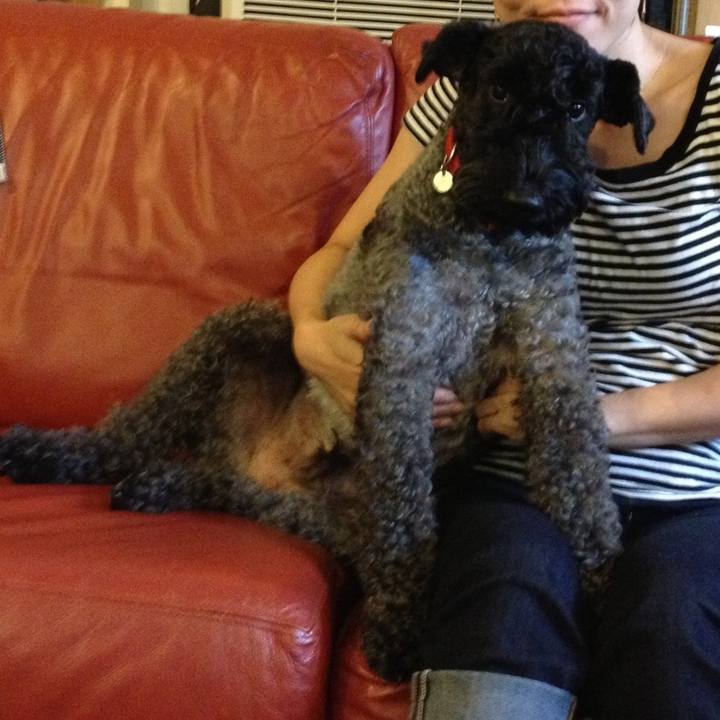 E8db3315 5dbe 4ddc 843a 4a758b3d1e74 1554778068887