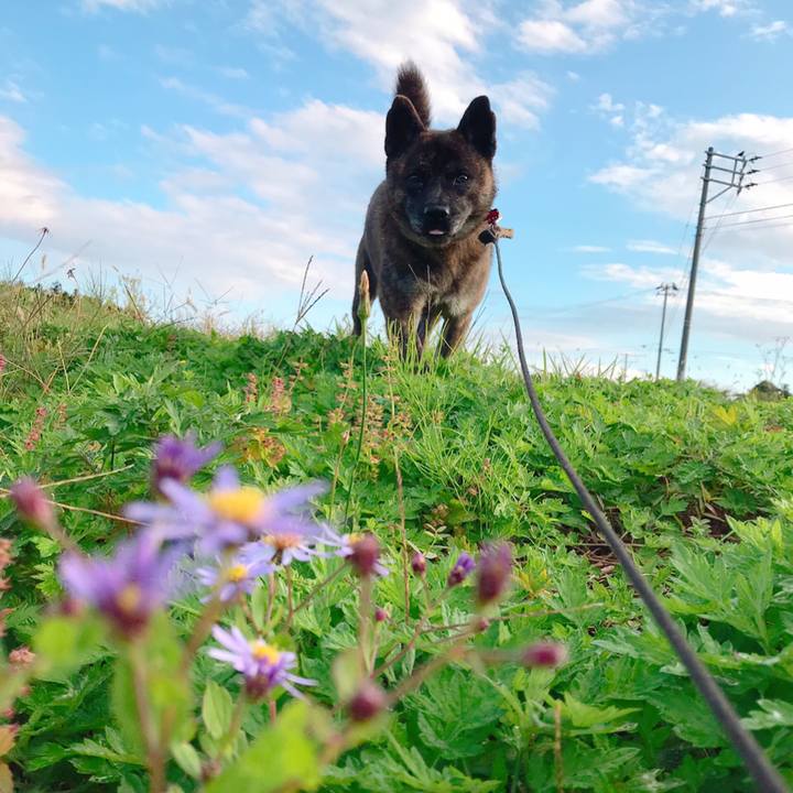 E8db59a1 2821 4298 9fa9 08d9590c42a4 1541379600693