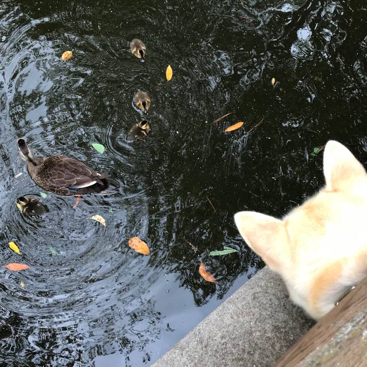 E8db5d94 258a 49f3 b650 a726808e6948 1528422662955