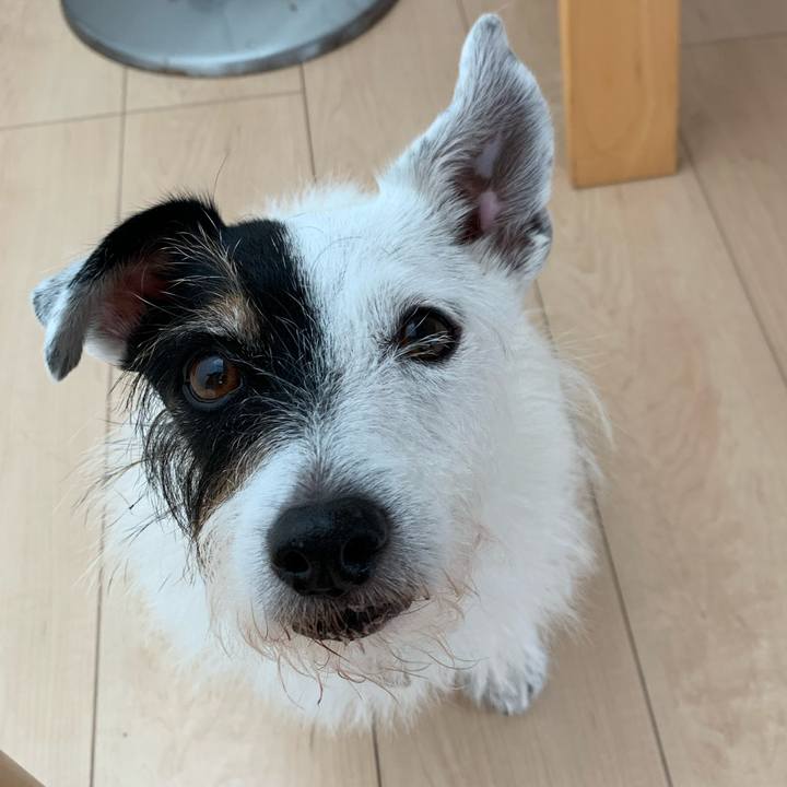 E8dbf27c ab40 4df9 9a68 a4ccea80c122 1728866426444