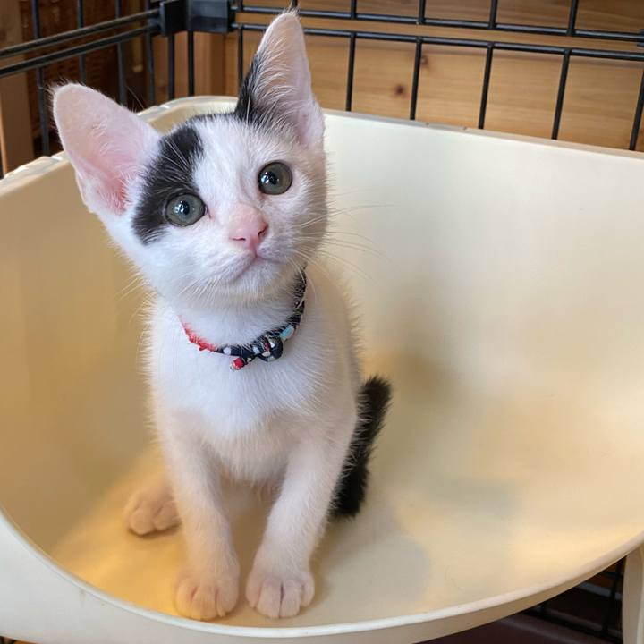 E8dbf36f 1d72 498e ac69 85601c86f6b9 1750579056885