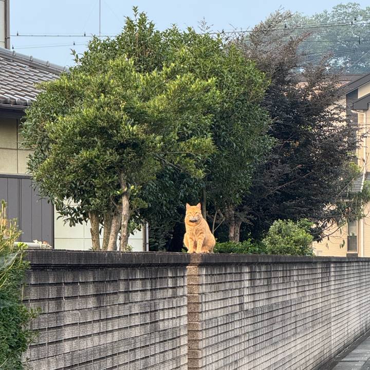 E8dc166b 2b85 4e53 8619 1005a32de4c6 1751942033417