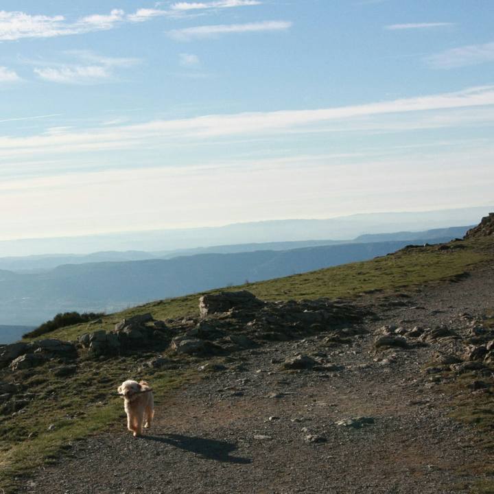 E8dc3d7c 80ea 4622 912c aa9e91f669c6 1541364860928