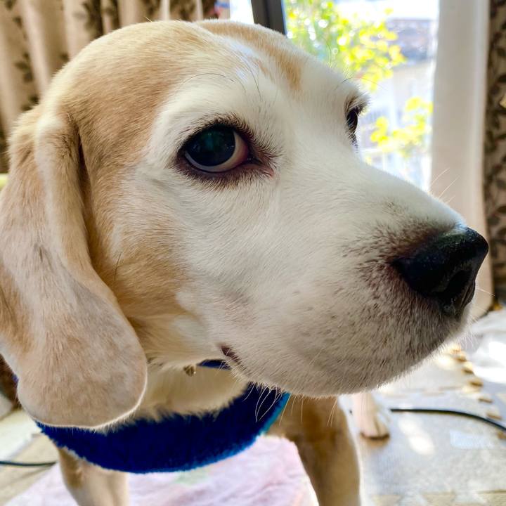 E8dc69e1 bc24 437a 9419 aa1df85c63b9 1611892467801