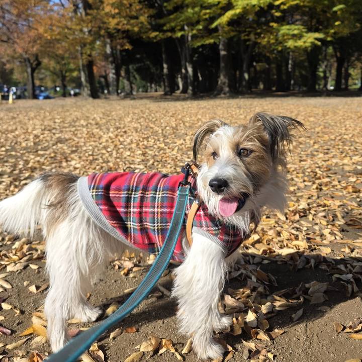 E8dc6e5c 07ef 461b 8506 dc3009e85c76 1763638398401