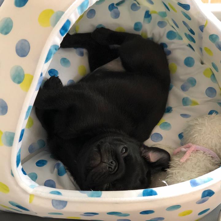 E8dc9e52 b5de 46ad b6ad 5d9d8a1f3693 1588735434006