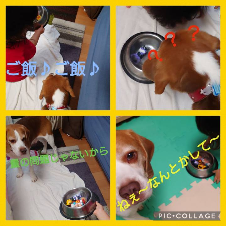 E8dcbe25 dbd9 4e00 a38c 545d28ed98f2 1693575321106