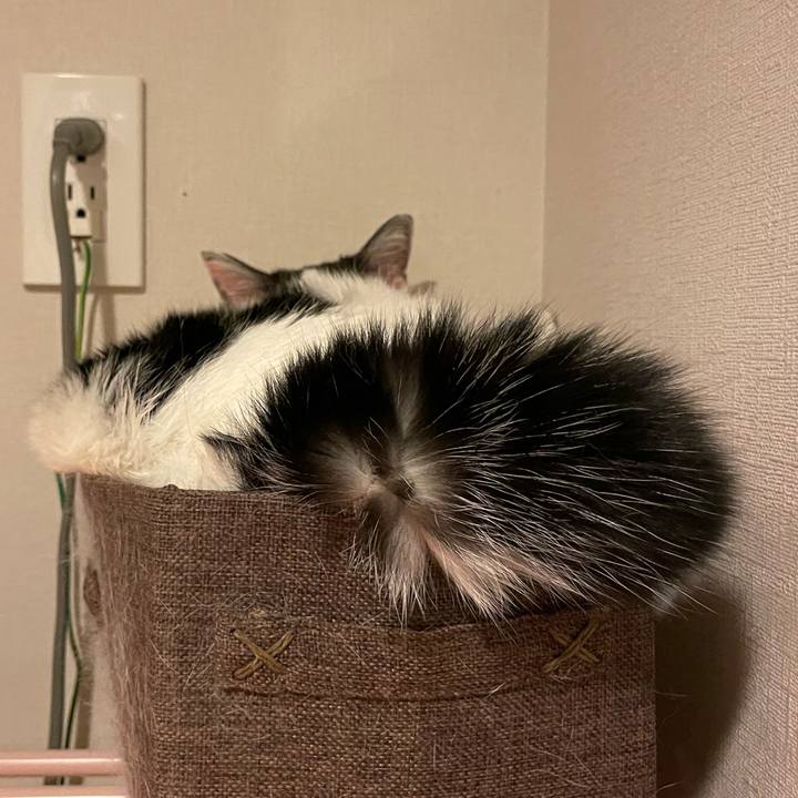 E8dcd5d0 e74f 4060 ad37 514064d2fc65 1747006753863