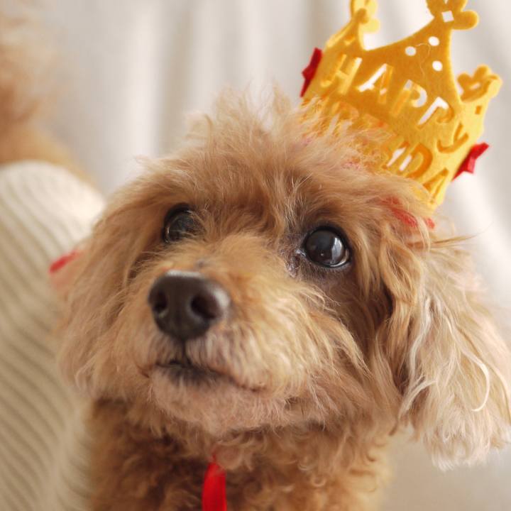 E8dcd993 6e58 425c 8363 5ba275cb58ca 1545786747922