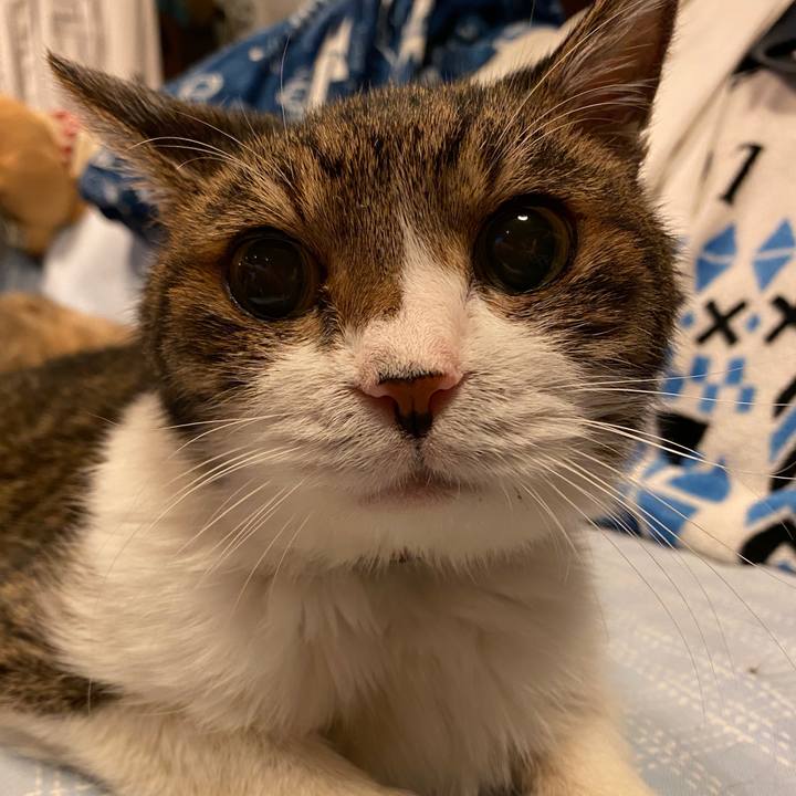 E8dd0fec 466f 4ca5 afad 43f30572c839 1628774098983