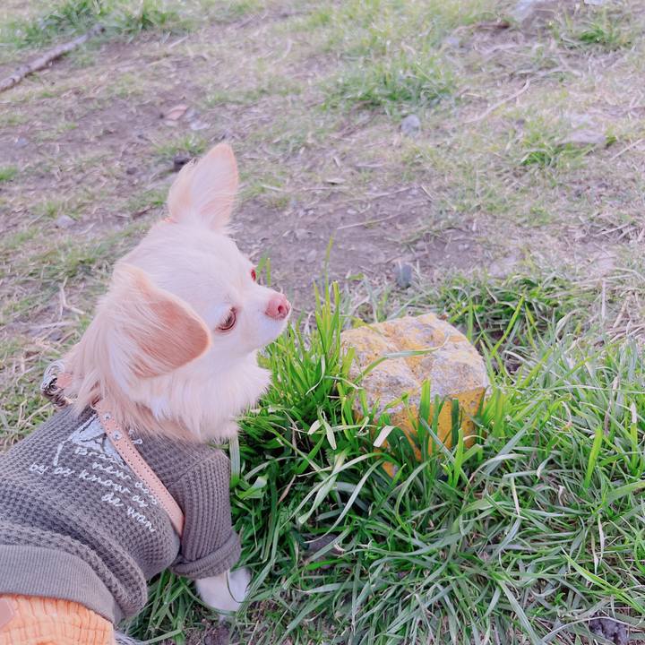 E8dd42a5 aa28 4703 b9bd c46383c69a75 1677576199308