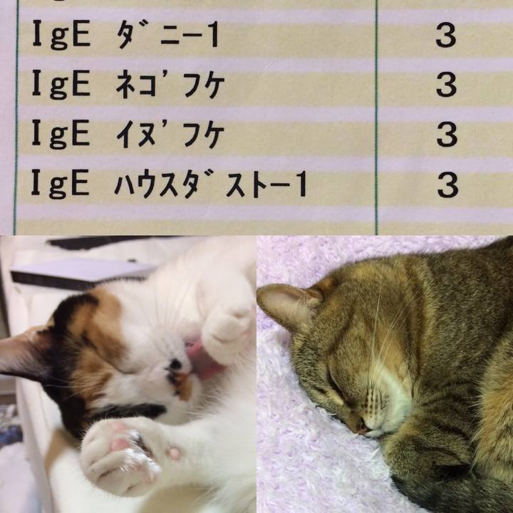 E8dd6ea3 1f40 41e7 940f 6ce44f35f27f 1578874684507