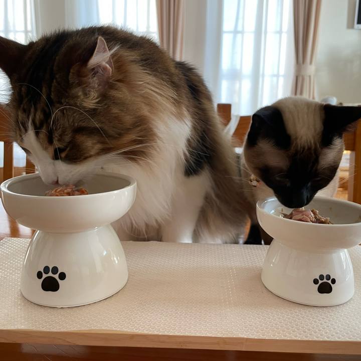 E8dda994 15ca 431c ad79 efc89ce235b2 1714900370140