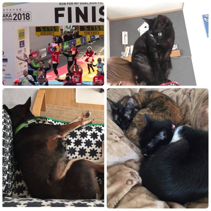 E8ddaee0 aac3 4871 b4e7 0edd0cf6bc65 1543123769519