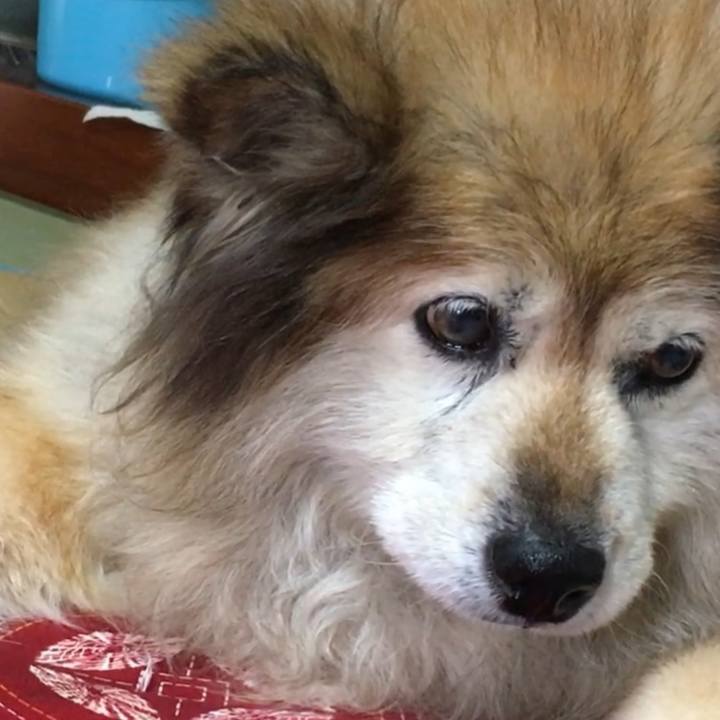 E8ddb98e 992c 48f1 9af3 dc2e35f690b7 1645515844152