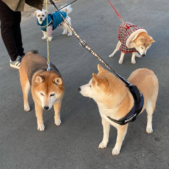 E8ddbb8f 00c5 4e9b a7d6 a69ce2f4974a 1675311758698