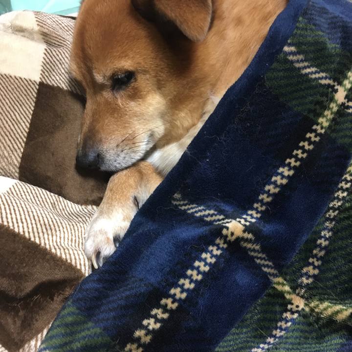 E8ddcb0c 8f6e 4ebf 836e a511fd1ba3ab 1516612011035