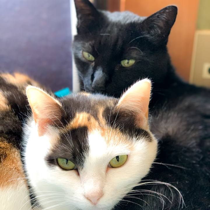 E8ddcb83 063b 47cb b287 507161146b50 1590200147768