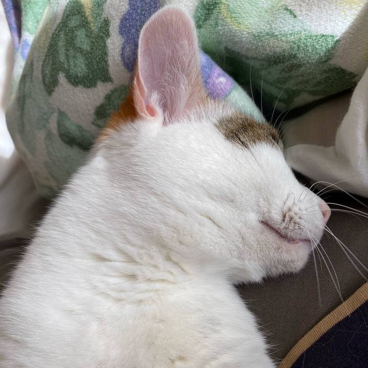 E8dde27d afb3 4f93 8738 ed917af8bd1b 1768618142047